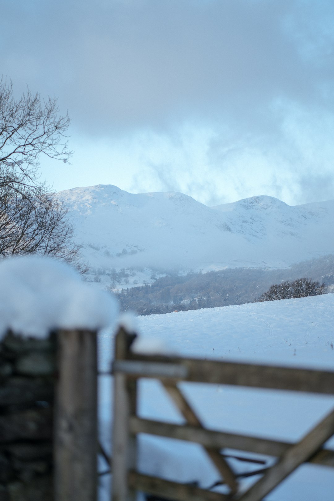 Snow-covered field with fence and mountains in the background