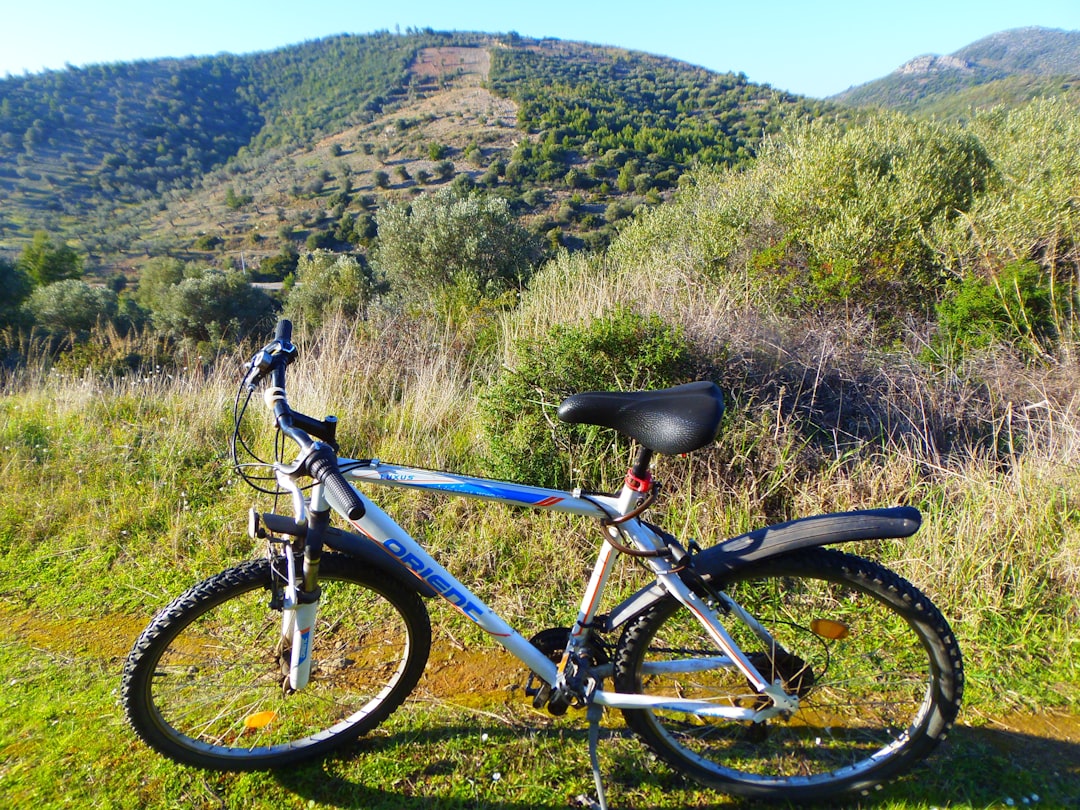 Mountain bike on green grass ready for off-road cycling
